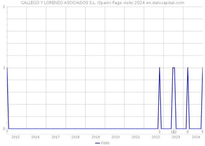 GALLEGO Y LORENZO ASOCIADOS S.L. (Spain) Page visits 2024 