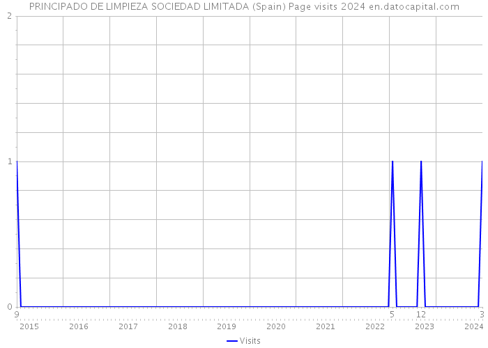 PRINCIPADO DE LIMPIEZA SOCIEDAD LIMITADA (Spain) Page visits 2024 