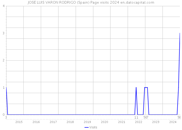 JOSE LUIS VARON RODRIGO (Spain) Page visits 2024 