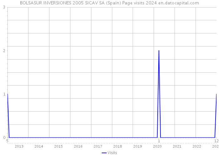 BOLSASUR INVERSIONES 2005 SICAV SA (Spain) Page visits 2024 