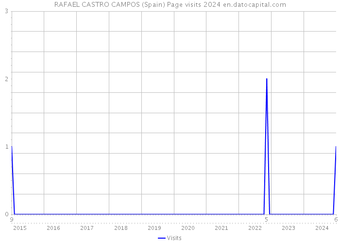 RAFAEL CASTRO CAMPOS (Spain) Page visits 2024 