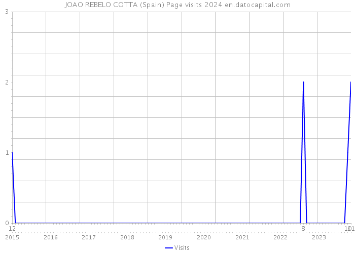 JOAO REBELO COTTA (Spain) Page visits 2024 