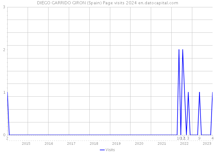 DIEGO GARRIDO GIRON (Spain) Page visits 2024 