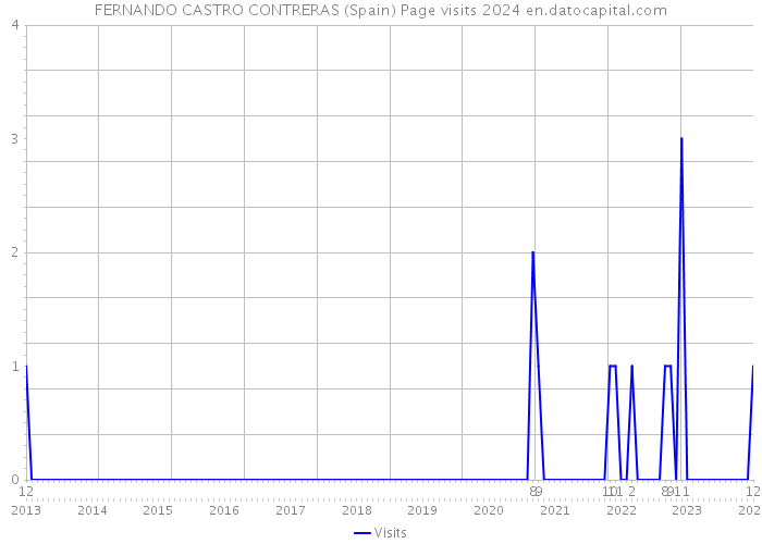 FERNANDO CASTRO CONTRERAS (Spain) Page visits 2024 