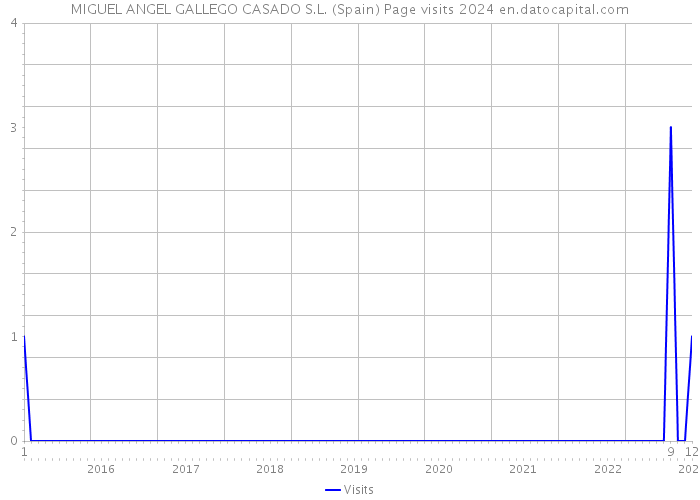MIGUEL ANGEL GALLEGO CASADO S.L. (Spain) Page visits 2024 