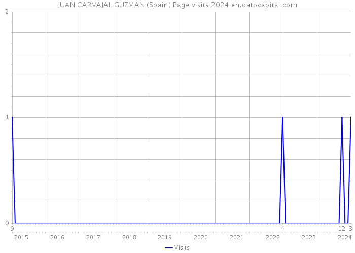 JUAN CARVAJAL GUZMAN (Spain) Page visits 2024 
