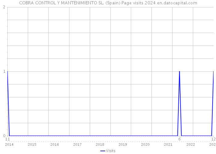 COBRA CONTROL Y MANTENIMIENTO SL. (Spain) Page visits 2024 