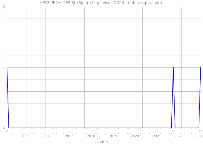 AESE PROVIDER SL (Spain) Page visits 2024 