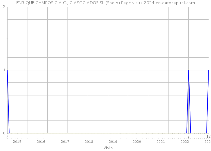 ENRIQUE CAMPOS CIA C.J.C ASOCIADOS SL (Spain) Page visits 2024 