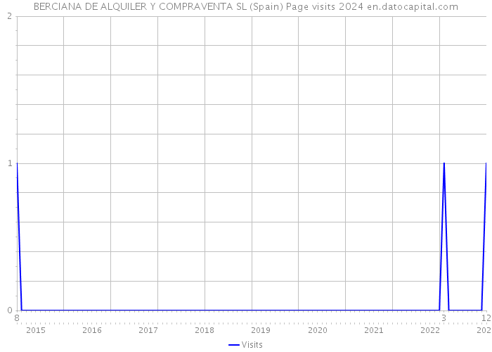 BERCIANA DE ALQUILER Y COMPRAVENTA SL (Spain) Page visits 2024 