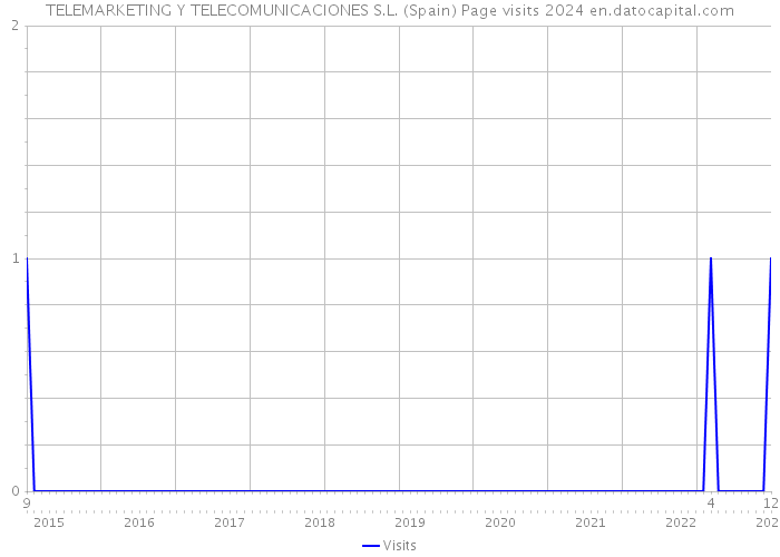 TELEMARKETING Y TELECOMUNICACIONES S.L. (Spain) Page visits 2024 