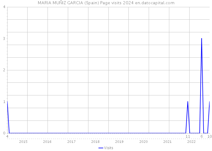 MARIA MUÑIZ GARCIA (Spain) Page visits 2024 