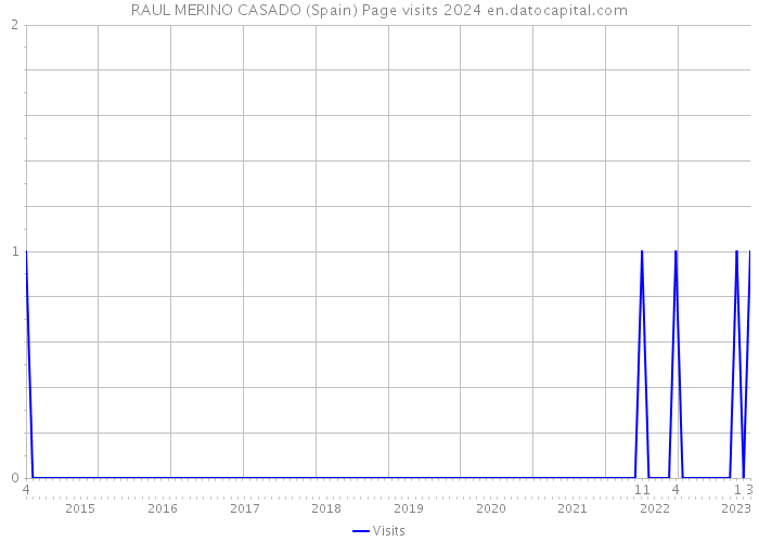 RAUL MERINO CASADO (Spain) Page visits 2024 
