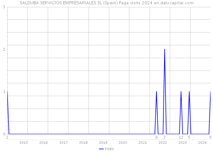 SALDUBA SERVICIOS EMPRESARIALES SL (Spain) Page visits 2024 