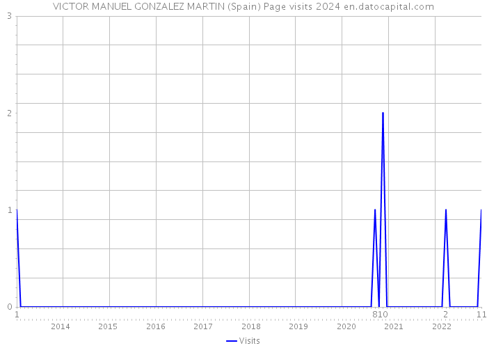 VICTOR MANUEL GONZALEZ MARTIN (Spain) Page visits 2024 