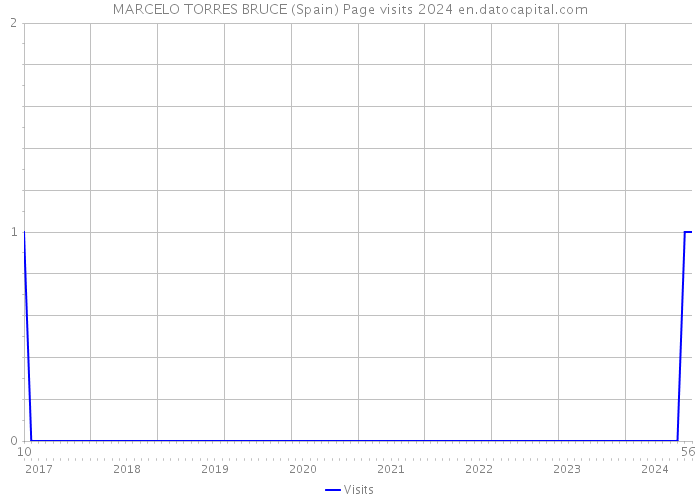 MARCELO TORRES BRUCE (Spain) Page visits 2024 