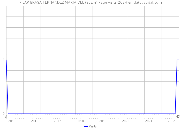 PILAR BRASA FERNANDEZ MARIA DEL (Spain) Page visits 2024 