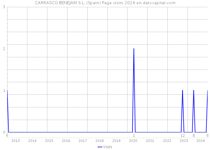 CARRASCO BENEJAM S.L. (Spain) Page visits 2024 