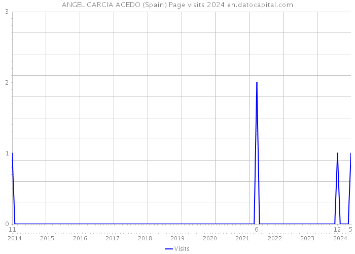 ANGEL GARCIA ACEDO (Spain) Page visits 2024 