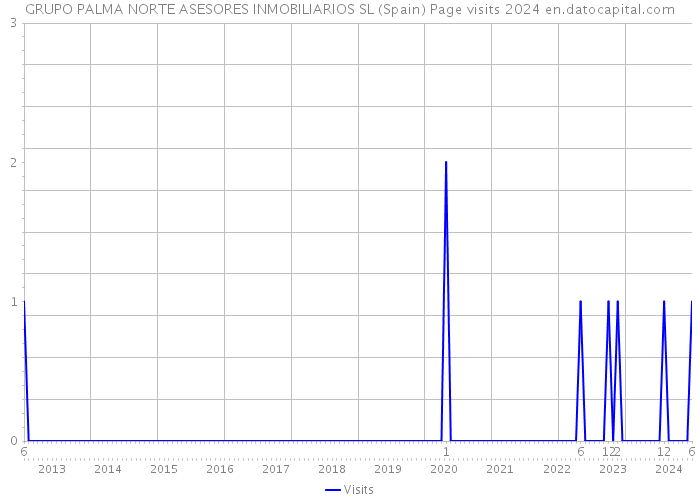GRUPO PALMA NORTE ASESORES INMOBILIARIOS SL (Spain) Page visits 2024 