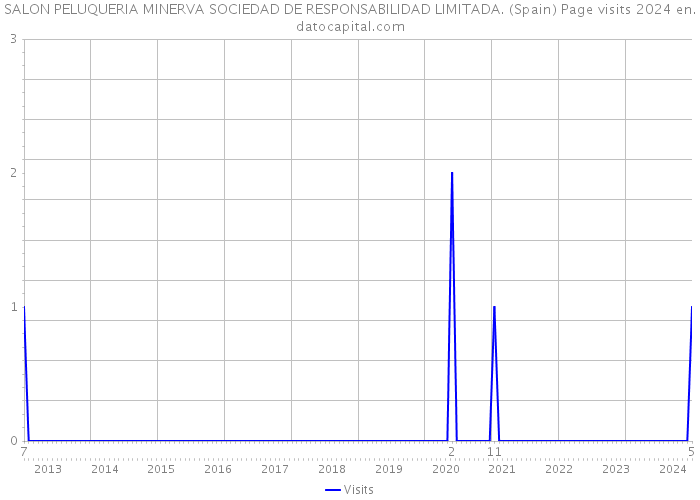 SALON PELUQUERIA MINERVA SOCIEDAD DE RESPONSABILIDAD LIMITADA. (Spain) Page visits 2024 