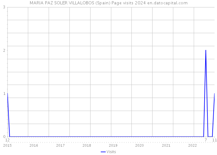 MARIA PAZ SOLER VILLALOBOS (Spain) Page visits 2024 