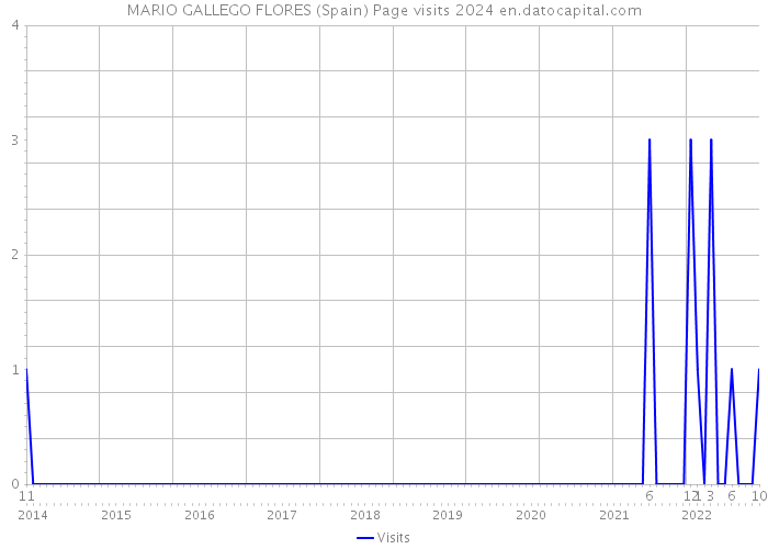 MARIO GALLEGO FLORES (Spain) Page visits 2024 