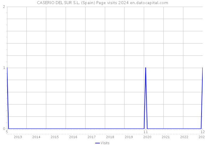 CASERIO DEL SUR S.L. (Spain) Page visits 2024 