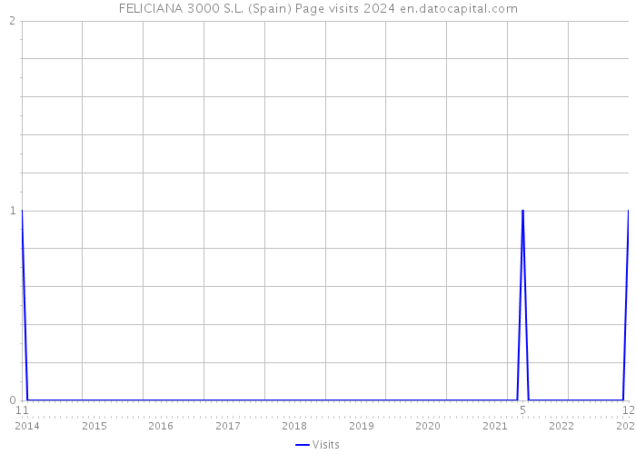 FELICIANA 3000 S.L. (Spain) Page visits 2024 