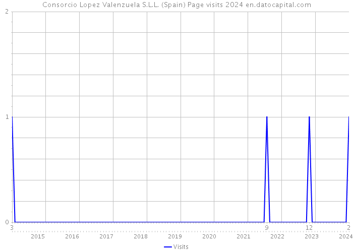 Consorcio Lopez Valenzuela S.L.L. (Spain) Page visits 2024 