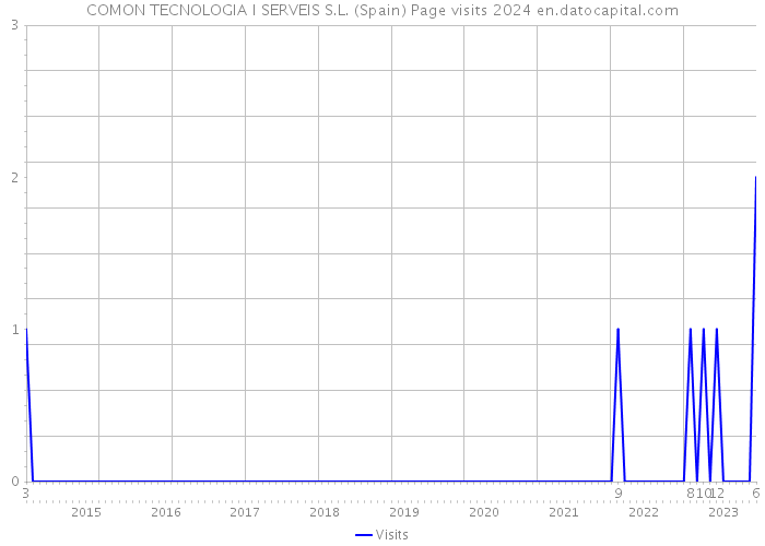 COMON TECNOLOGIA I SERVEIS S.L. (Spain) Page visits 2024 