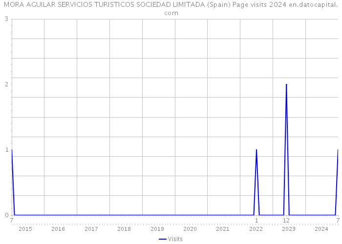 MORA AGUILAR SERVICIOS TURISTICOS SOCIEDAD LIMITADA (Spain) Page visits 2024 