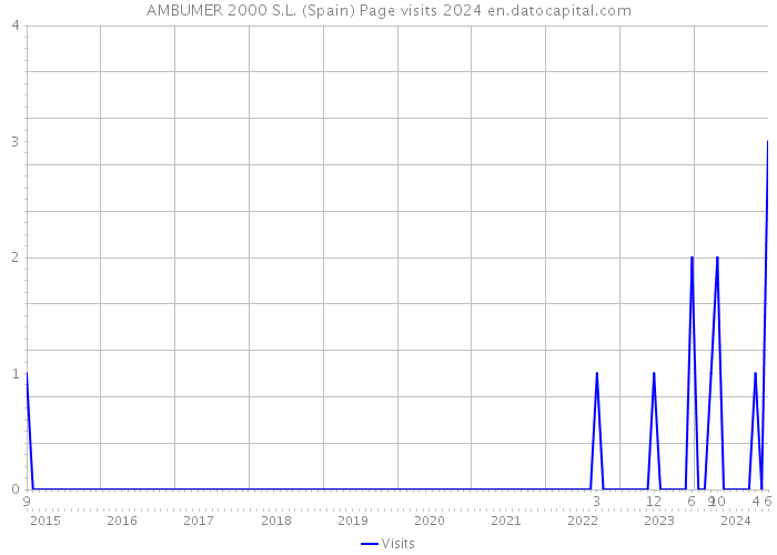 AMBUMER 2000 S.L. (Spain) Page visits 2024 
