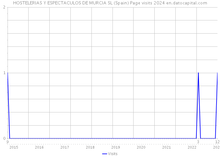 HOSTELERIAS Y ESPECTACULOS DE MURCIA SL (Spain) Page visits 2024 