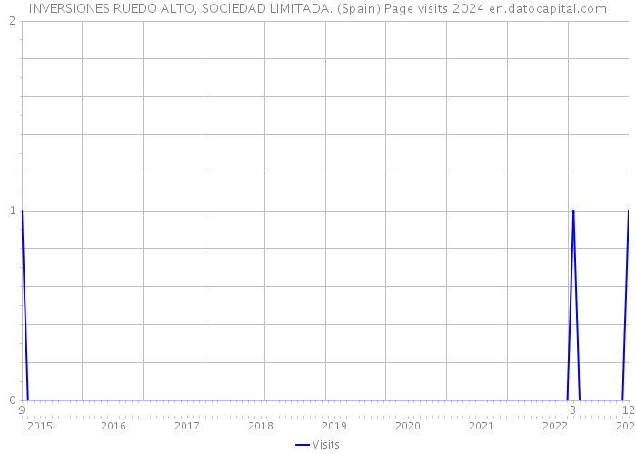 INVERSIONES RUEDO ALTO, SOCIEDAD LIMITADA. (Spain) Page visits 2024 