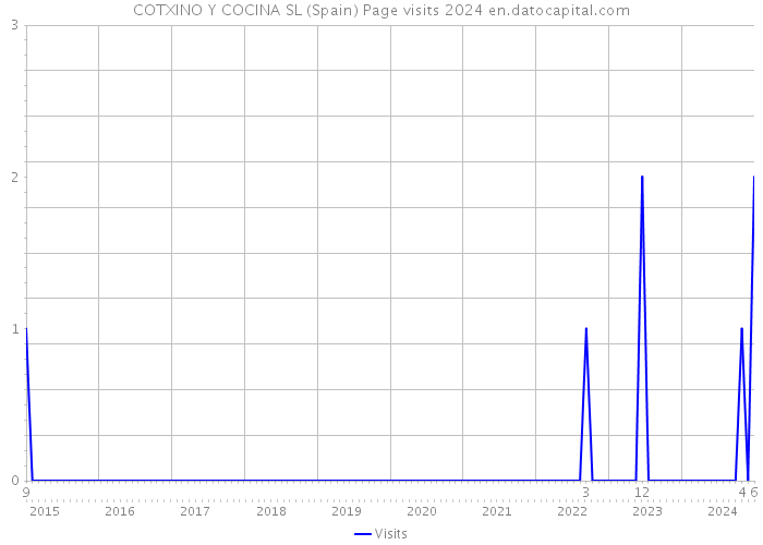 COTXINO Y COCINA SL (Spain) Page visits 2024 