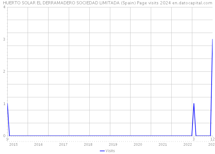 HUERTO SOLAR EL DERRAMADERO SOCIEDAD LIMITADA (Spain) Page visits 2024 