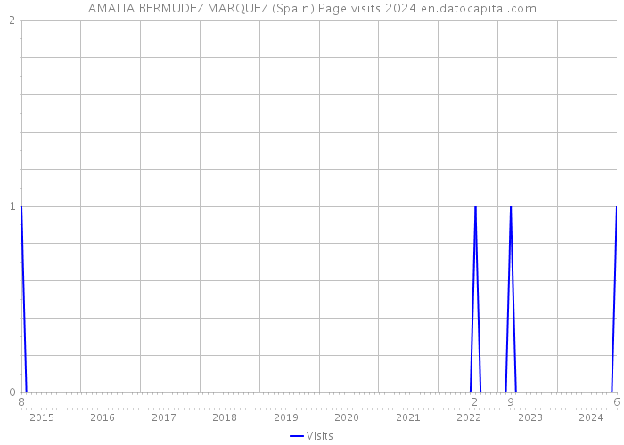 AMALIA BERMUDEZ MARQUEZ (Spain) Page visits 2024 