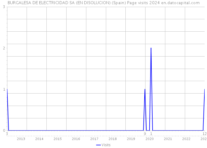 BURGALESA DE ELECTRICIDAD SA (EN DISOLUCION) (Spain) Page visits 2024 