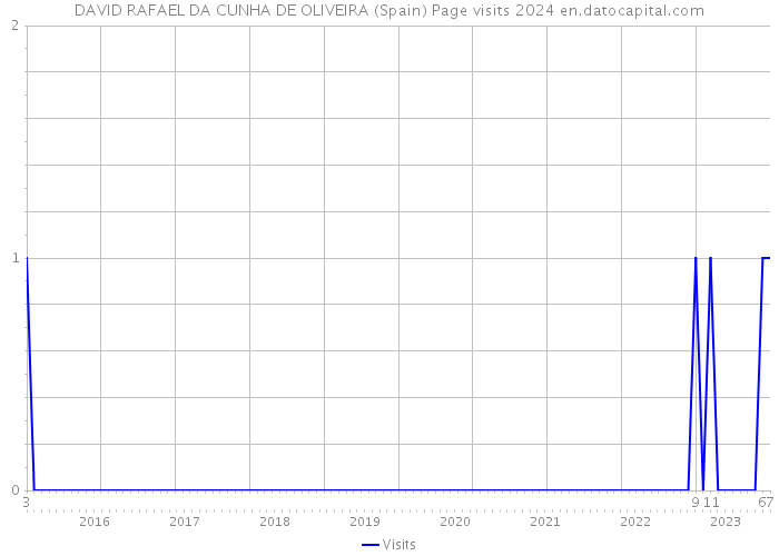 DAVID RAFAEL DA CUNHA DE OLIVEIRA (Spain) Page visits 2024 