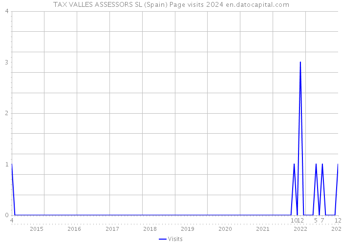 TAX VALLES ASSESSORS SL (Spain) Page visits 2024 