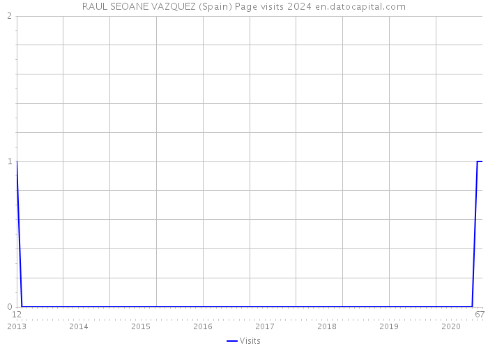 RAUL SEOANE VAZQUEZ (Spain) Page visits 2024 