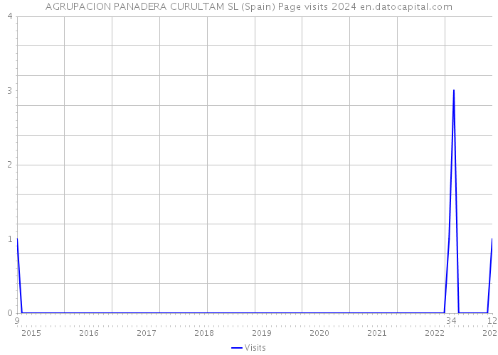 AGRUPACION PANADERA CURULTAM SL (Spain) Page visits 2024 