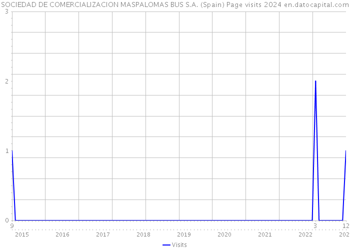 SOCIEDAD DE COMERCIALIZACION MASPALOMAS BUS S.A. (Spain) Page visits 2024 