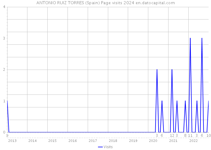 ANTONIO RUIZ TORRES (Spain) Page visits 2024 