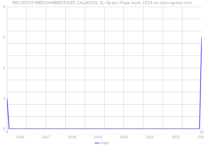 RECURSOS MEDIOAMBIENTALES GALLEGOS, SL (Spain) Page visits 2024 