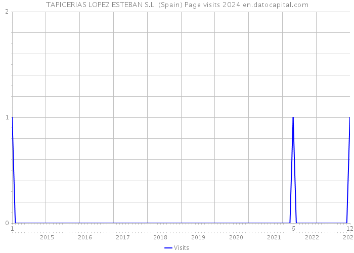 TAPICERIAS LOPEZ ESTEBAN S.L. (Spain) Page visits 2024 
