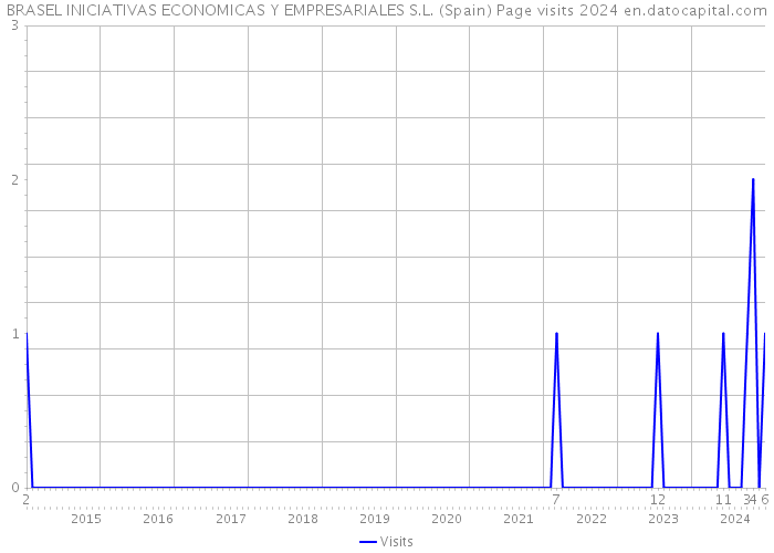 BRASEL INICIATIVAS ECONOMICAS Y EMPRESARIALES S.L. (Spain) Page visits 2024 