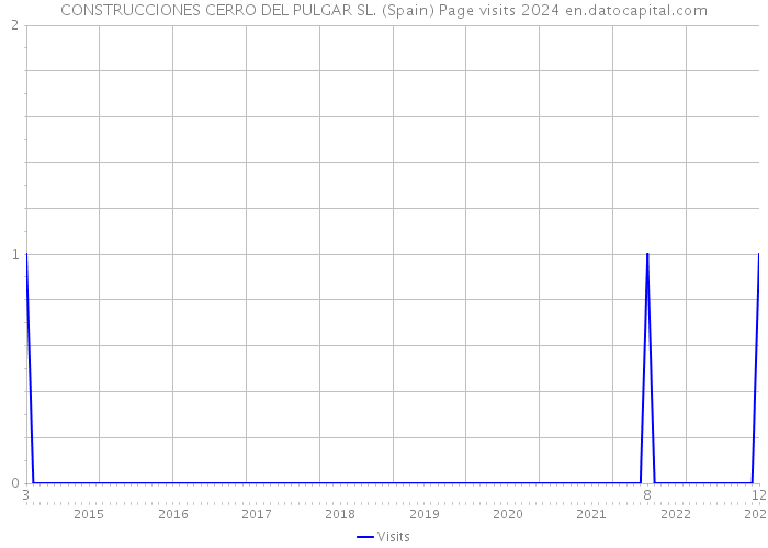 CONSTRUCCIONES CERRO DEL PULGAR SL. (Spain) Page visits 2024 