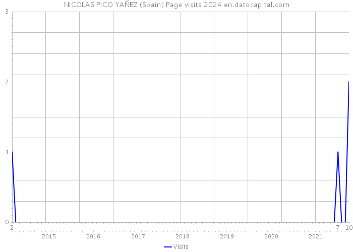 NICOLAS PICO YAÑEZ (Spain) Page visits 2024 